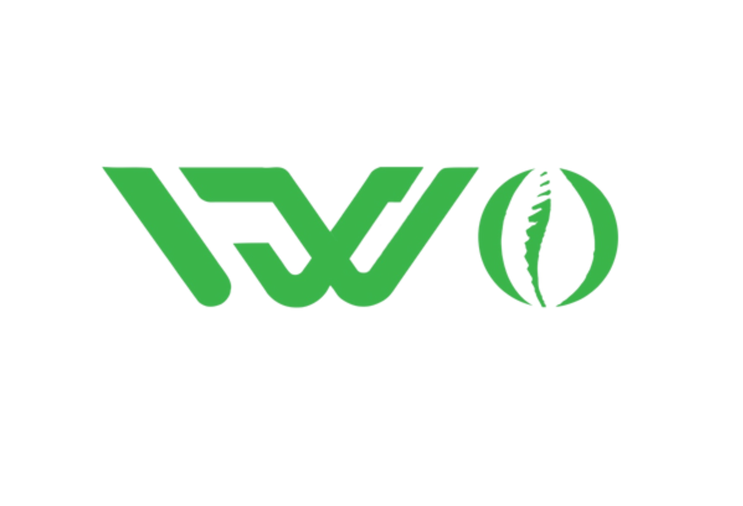 VLogo